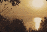 a sunset over a body of water surrounded by trees