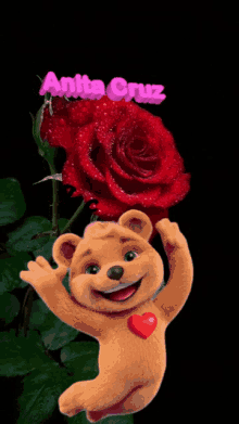 a teddy bear is holding a red rose with the name anita cruz written on it