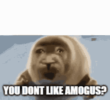 Amogus You Dont Like Amogus GIF - Amogus You Dont Like Amogus Sugoma GIFs