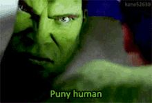 Hulk Puny Human GIF - Hulk Puny Human The Hulk GIFs