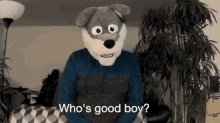 Who Is Good Boy Who Knows GIF