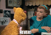 Never Sesame Street GIF - Never Sesame Street Fozzie Bear GIFs
