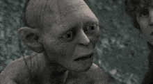 a close up of a person 's face with the words " in the hunter " on the bottom right