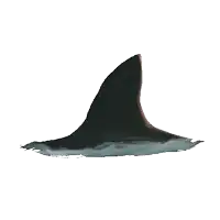 a shark 's tail is visible in the water on a white background