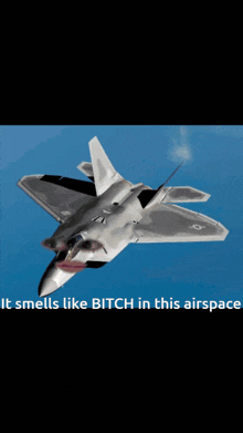 F22 Air Space Smells GIF - F22 Air Space Smells GIFs