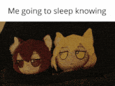 two stuffed animals laying next to each other with a caption that says me going to sleep knowing