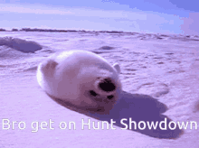 get on hunt showdown bro get online