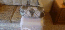 a plaid purse sits on top of a white box in a living room
