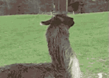 Nope. GIF