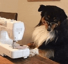 a dog wearing glasses is sitting at a table next to a sewing machine .