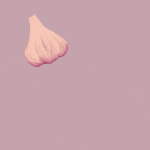 a drawing of a garlic bulb with the words enhorabuena a vosotros above it