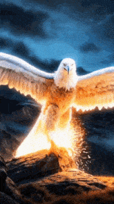 a bald eagle with flames coming out of its wings