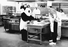 Oso Panda En Cocina GIF - Panda Kitchen Flour GIFs