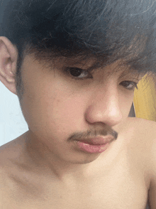 a man without a shirt has a small mustache on his face