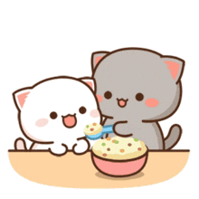 two cats are sitting at a table eating from a bowl with a spoon .