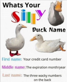 whats your silly duck name with a picture of a duck