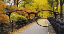 Glasses Fall GIF - Glasses Fall Autumn GIFs