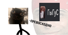 a picture of a black cat next to a picture of a man 's face and the words " -prebochodho "