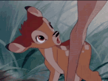Bambi No GIF - Bambi No Shake GIFs
