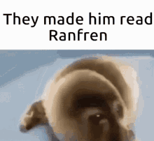 Crying Seal Ranfren GIF