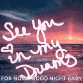 a picture of the ocean with the words " see you in my dreams "