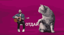отдай Cat GIF - отдай Cat Singing GIFs