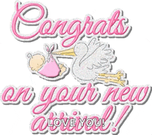 Congratulations Stork GIF - Congratulations Stork Baby GIFs