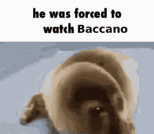 Baccano He GIF - Baccano He Was GIFs