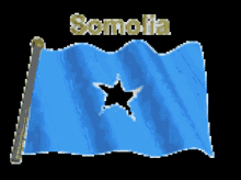 somalia blue flag blue flag star