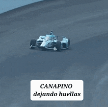 Indycar Canapa GIF - Indycar Canapa Argentina GIFs