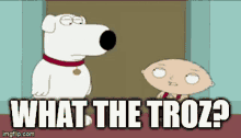 What The Troz Stewie Troz GIF - What The Troz Stewie What The Troz Troz GIFs