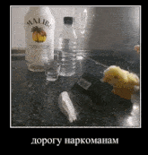 a bottle of malibu rum sits on a counter next to a stuffed duck .