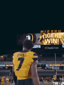 Missouri Tigers Football GIF