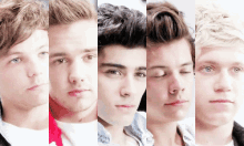 1d one direction members