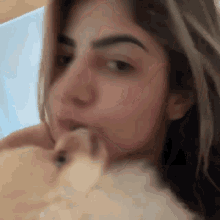 a close up of a woman holding a small dog in her arms .