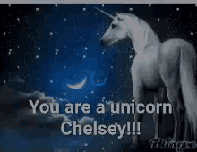 Chelsey You Are A Unicorn GIF - Chelsey You Are A Unicorn GIFs