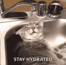 Thirsty Drinking GIF - Thirsty Drinking From GIFs
