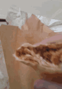 Taco Bell Grilled Cheesy Burrito GIF - Taco Bell Grilled Cheesy Burrito Burrito GIFs