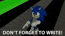 Dont Forget To Write Sonic GIF - Dont Forget To Write Sonic Futuristichub GIFs