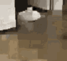 Roomba Cat GIF - Roomba Cat Roombacat GIFs