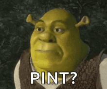 Shrek Reaction GIF - Shrek Reaction Really GIFs
