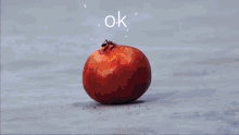 a fireworks display with the word ok in the middle