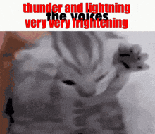 Thunderandlightning Basementstyle GIF - Thunderandlightning Basementstyle Nisiwho GIFs