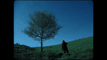 Destroy Lonely If Looks Could Kill GIF - Destroy Lonely If Looks Could Kill Opium GIFs