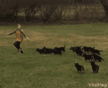 Chase Going After GIF - Chase Going After Following GIFs