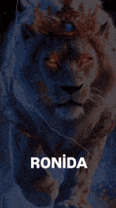 a lion wearing a crown is running in the dark .