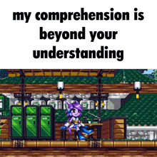 a screenshot of a video game with the words my comprehension is beyond your understanding