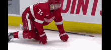 Red Wings GIF - Red Wings Hockey GIFs