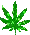 a green marijuana leaf on a white background in a pixel art style .