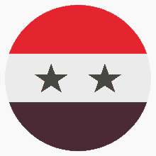 flag syrian